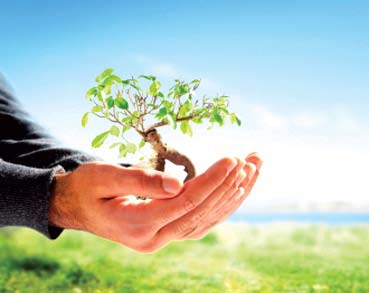 الخدمات البيئية والاستشارية